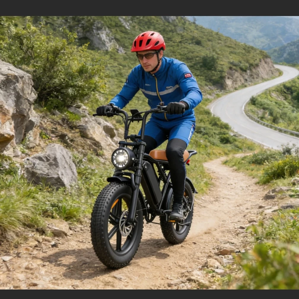 2026 20" E-Bike 250W 48V E-Mountain Bike 45km/h Offroad Moped Electric Motorcycle-