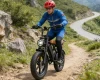 2026 20" E-Bike 250W 48V E-Mountain Bike 45km/h Offroad Moped Electric Motorcycle-
