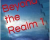 Beyond the Realm novel trilogy